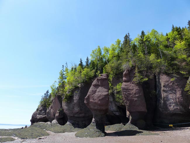Hopewell Rocks auf New Brunswick