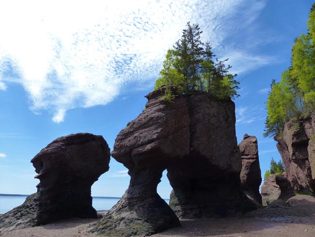 Bay Of Fundy In New Brunswick Erleben! Auszeitkanada.de